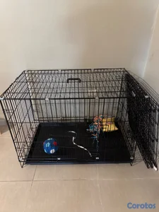 JAULA PARA MASCOTAS MEDIANA