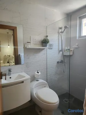 apartamentos - Alquilo apartamento amueblado en Paraiso 4