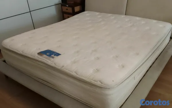 muebles y colchones - Colchon King con doble pillow top 2