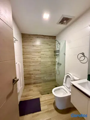 apartamentos - Apartamento en Venta y Alquiler, El Millón 12
