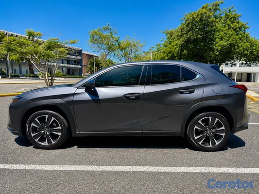 jeepetas y camionetas - Lexus UX300h 13