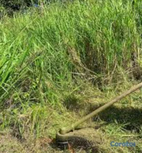 Se vende una finca 