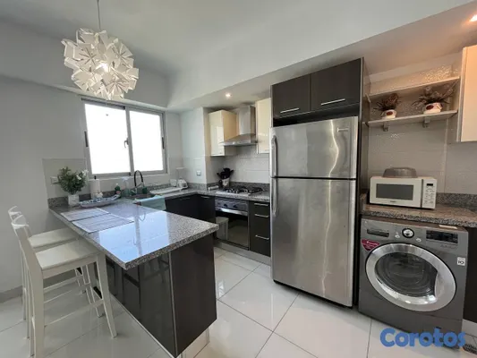 apartamentos - Apartamento en Alquiler en Piantini Amueblado de U 13