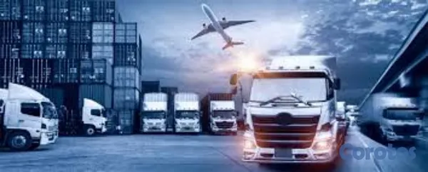 servicios profesionales - Servicios Aduanas CISA y Logística  6