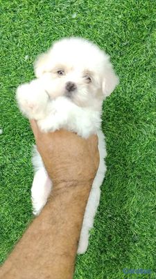 seller-logo
