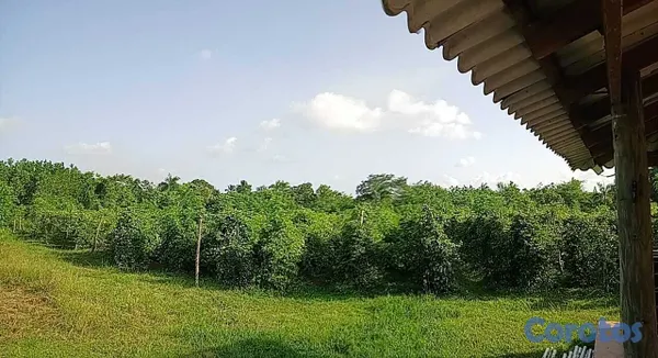 solares y terrenos - Vendo de oportunidad y con proyecto montado.  3