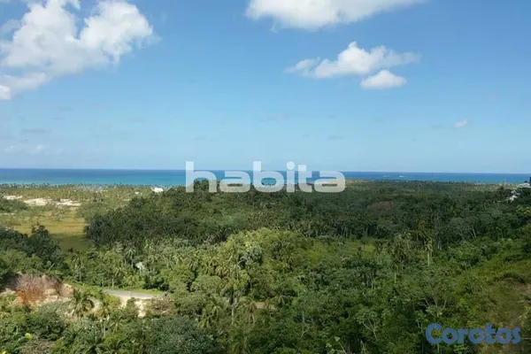 solares y terrenos - En venta terreno de 10,000 m² en Cosón, Las Terrenas 7