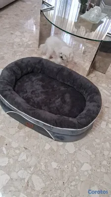 animales y mascotas - VENDO CAMA DE PERRO GRANDE Y COMODA 2