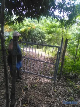 solares y terrenos - 30 TAREAS PRÓXIMO A HATO DAMAS