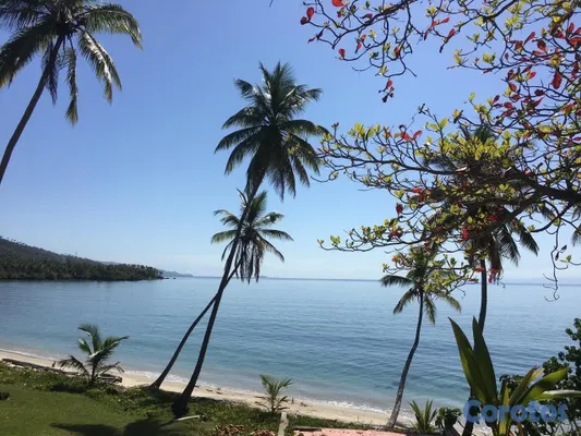 solares y terrenos - Vendo Terreno entre La Pascuala-Río los Cocos,SAMANÁ,Rep.Dominicana  17