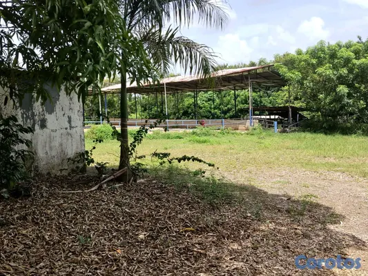 solares y terrenos - finca de 3000 tareas con vocación agrícola en Monte Plata  7