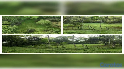 🌿 ¡OPORTUNIDAD DE TERRENO EN BONAO, PRÓXIMO AL RÍO MASIPEDRO!