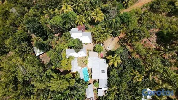 solares y terrenos - finca de 1200 tareas de coco en nagua   4