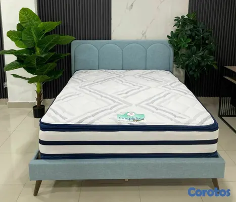 muebles y colchones - COLCHON DOBLE PILLOW TOP REX  2