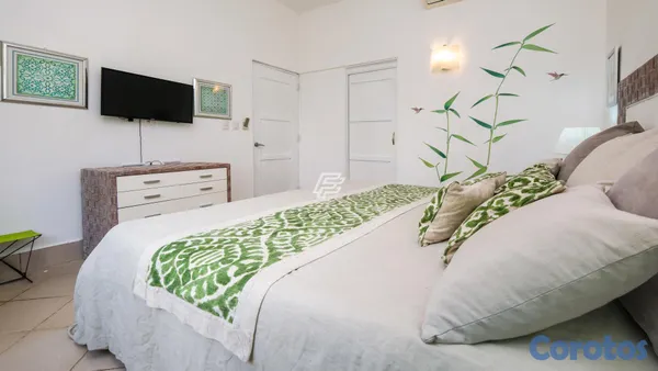 apartamentos - Apartamento Frente al Mar, Las Ballenas 6