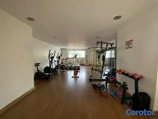 apartamentos - Apartamento tipo PH en alquiler (270mt2) de 3 habitaciones en el sector Piantini 9