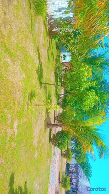 casas vacacionales y villas - 🏡🔥 ¡OPORTUNIDAD ÚNICA EN JUAN DOLIO H3! CASA EN VENTA CON AMPLIO TERRENO Y Tít 14