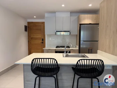 Apartamento Amueblado de 2 Habitaciones en Renta e