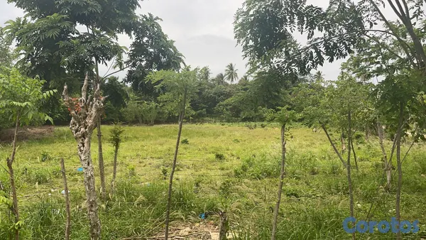 solares y terrenos - Oportunidad Única: Terreno de 6,510 m² a Pasos de la Playa 5