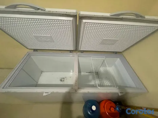 equipos profesionales - friser 2