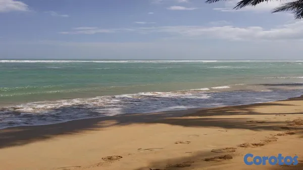 solares y terrenos - VENDO en primera linea de playa, Uvero Alto 2