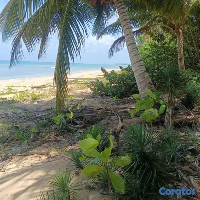solares y terrenos - Solar de 1800 m² en 1ra Línea de Playa en Cosón Las Terrenas 2