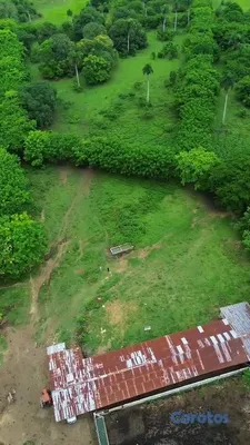 solares y terrenos - Terreno de 1,037,625 m² en venta en La Victoria 13