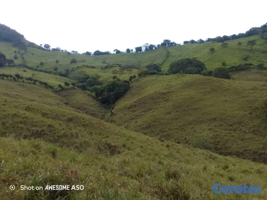 solares y terrenos - finca de 450 tareas con vocación ganadera en yamasa  15
