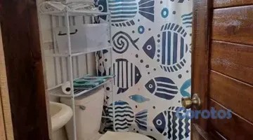 apartamentos - APARTAMENTO EN ALQUILER AMUEBLADO EN LA ZONA COLON 3