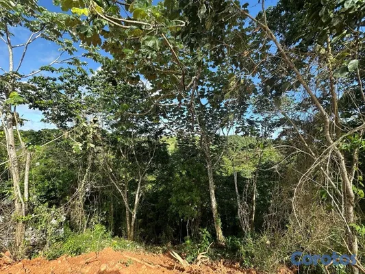 solares y terrenos - Solares con vista a la montaña en Las Terrenas – desde US$21,300 4