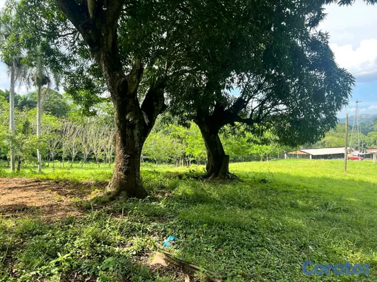 solares y terrenos - finca de criadero de animales en maimon 4