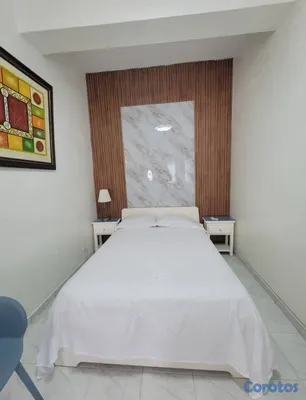 apartamentos - Alquiler Estudio Amueblado, Zona Colonial 5