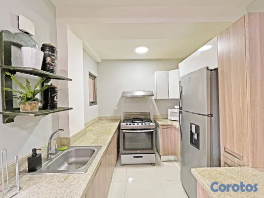apartamentos - Apartamento de 1 habitacion amueblado en alquiler  3