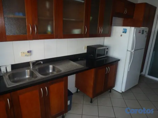 apartamentos - ALQUILO APARTAMENTO AMUEBLADO EN EVARISTO MORALES 8