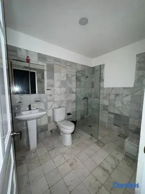 casas - Casa comercial de 280mt2 en alquiler en Viejo Arro 6