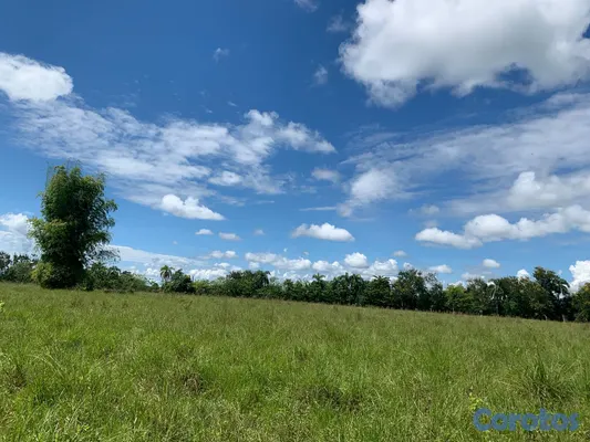 solares y terrenos - Se vende este terreno esta ubicado en bayaguana  17