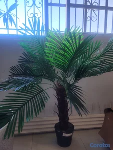 Palma artificial 