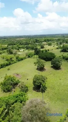 solares y terrenos - Terreno de 1,037,625 m² en venta en La Victoria 12