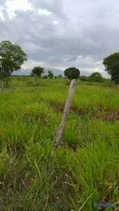 🚜🌾 FINCA PRODUCTIVA EN VENTA | MATAYAYA, SAN JUAN 
