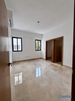 apartamentos - 2do piso con terraza en alquiler en Serralles 2