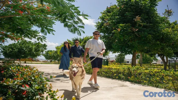 solares y terrenos - Solar en venta en Royal Gardens, Vistacana, Punta Cana 6