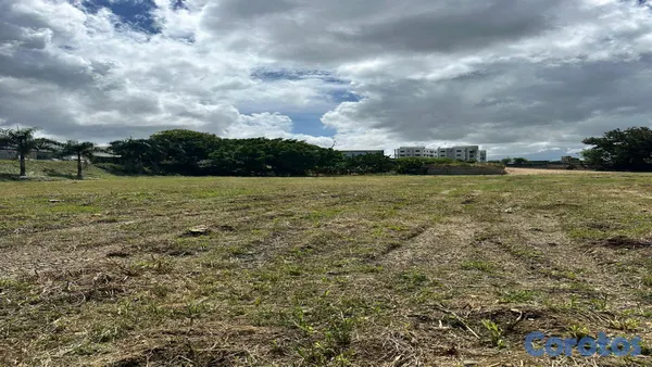 solares y terrenos - En venta Solar en Carretera Hato Nuevo 4