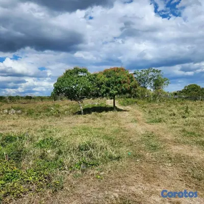 solares y terrenos - Terreno en venta.  3