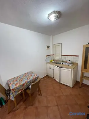 apartamentos - Alquiler Apartamento de 1 Habitación, Zona Colonia 4