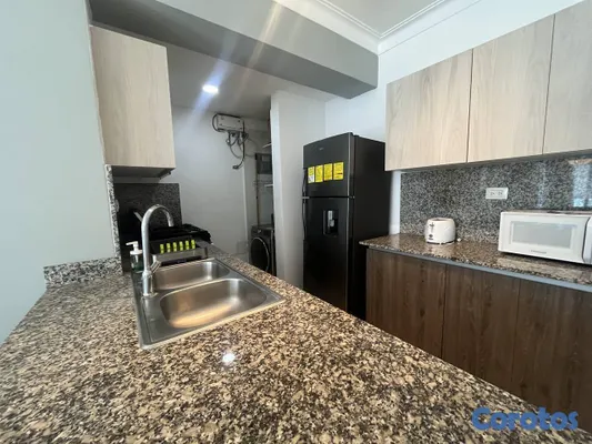 apartamentos - Apartamento en Alquiler en Naco Amueblado de UNA H 19