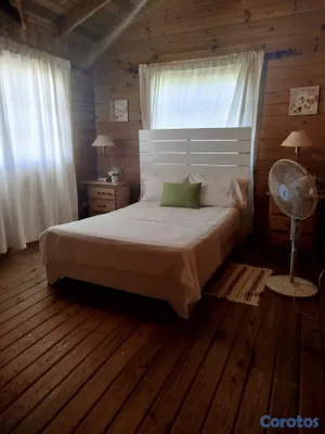 casas - casa en renta, por temporada y fija. más info en la descripción. 8