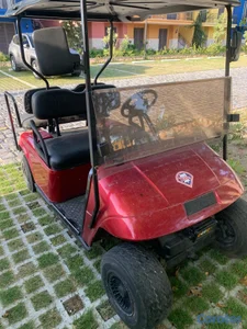 Carrito de Golf EZGO Gasolina – Gomas y batería nuevas - negociable