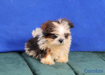 seller-logo