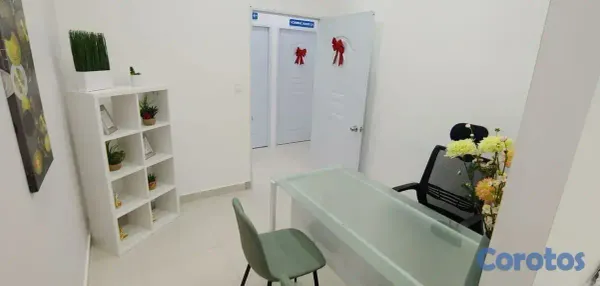 oficinas y locales comerciales - CONSULTORIOS MÉDICOS Y OFICINAS PROFESIONALES. 4