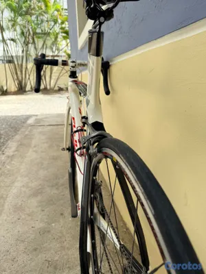 bicicletas y accesorios - Fiji SS T 2 carbon  2